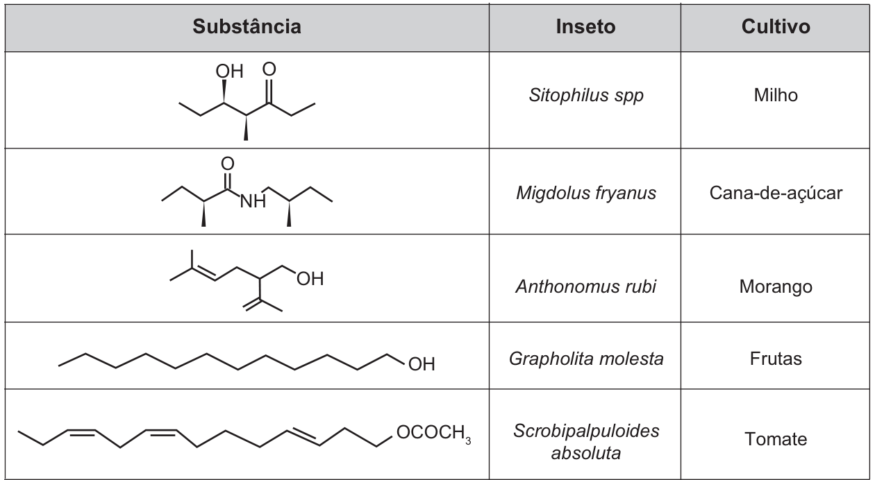 Quadro com três colunas (Substância, Inseto, Cultivo) e cinco linhas: 1) cadeia curta com OH e C=O vizinhos e duas cunhas (carbonos assimétricos) — Sitophilus spp — Milho; 2) amida (C=O ligado a NH) com duas cunhas em carbonos ramificados — Migdolus fryanus — Cana-de-açúcar; 3) cadeia com uma ligação dupla trissubstituída, um grupo OH e um grupo isopropenil (C=CH₂) — Anthonomus rubi — Morango; 4) cadeia saturada longa terminada em OH (álcool linear) — Grapholita molesta — Frutas; 5) cadeia longa com três ligações duplas isoladas e um grupo éster OCOCH₃ na extremidade — Scrobipalpuloides absoluta — Tomate.