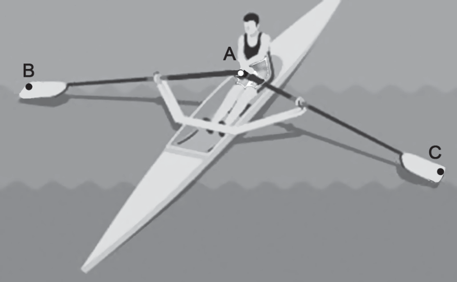 Ilustração em tons de cinza de um remador sentado num barco estreito visto de cima e de frente; os dois remos partem das mãos do remador, marcadas pelo ponto A, e se abrem para os lados até as pás, marcadas pelos pontos B (à esquerda) e C (à direita).