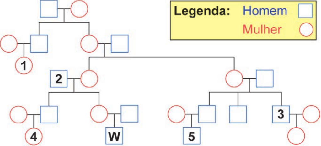 Heredograma com legenda (Homem: quadrado azul; Mulher: círculo vermelho). Geração do topo: um casal. Seus filhos: um homem (casado com uma mulher; filha 1, mulher) e uma mulher (casada com um homem). Filhas desse último casal: uma mulher casada com o homem 2, e outra mulher casada com um homem. Filhos do casal 2: um homem (casado com uma mulher; filha 4, mulher) e uma mulher (casada com um homem; filho W, homem). Filhos do outro casal: um homem (casado com uma mulher; filho 5, homem), um homem sem cônjuge e o homem 3 (casado com uma mulher; uma filha, mulher).