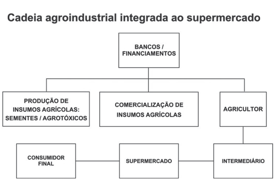 Organograma intitulado “Cadeia agroindustrial integrada ao supermercado”. No topo, a caixa “Bancos / financiamentos” liga-se, por linhas, a três caixas: “Produção de insumos agrícolas: sementes / agrotóxicos”, “Comercialização de insumos agrícolas” e “Agricultor”. Do agricultor, uma linha desce até “Intermediário”, que se liga a “Supermercado” e, por fim, a “Consumidor final”.