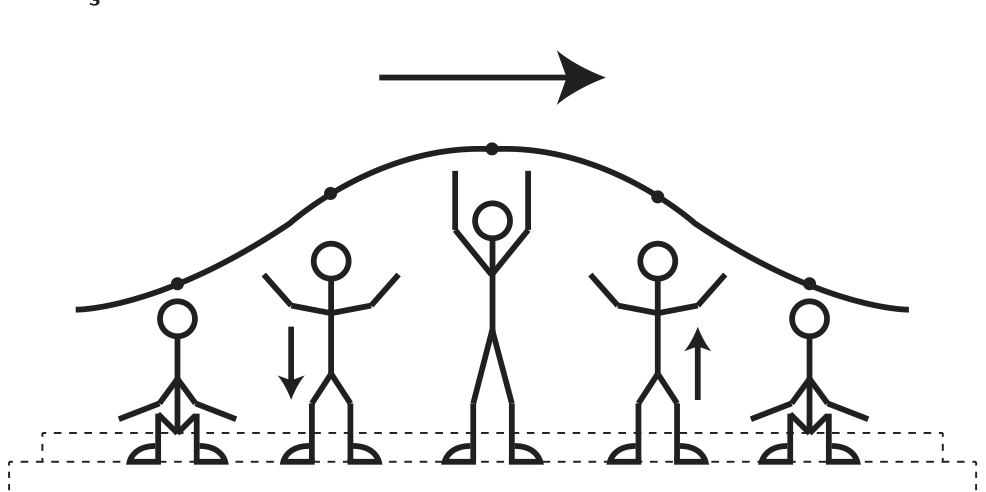 Ilustração de uma fileira de cinco pessoas estilizadas em diferentes fases da ola: nas pontas, sentadas com os braços abaixados; na segunda, de pé com os braços na altura dos ombros e uma seta para baixo; no centro, de pé com os braços erguidos; na quarta, de pé com uma seta para cima. Uma curva em forma de onda passa sobre as cabeças e uma seta horizontal acima indica o sentido de propagação, para a direita.