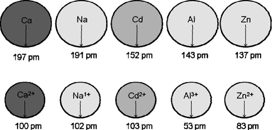 Duas fileiras de círculos com uma seta indicando o raio. Fileira superior, átomos: Ca 197 pm, Na 191 pm, Cd 152 pm, Al 143 pm, Zn 137 pm. Fileira inferior, cátions, com círculos menores: Ca²⁺ 100 pm, Na⁺ 102 pm, Cd²⁺ 103 pm, Al³⁺ 53 pm, Zn²⁺ 83 pm.