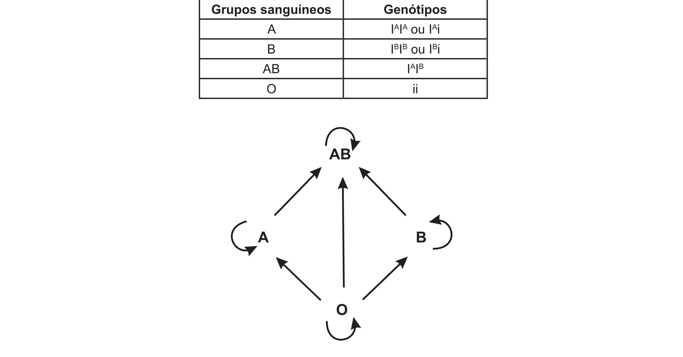 Quadro e esquema. Quadro "Grupos sanguíneos / Genótipos": A — I^A I^A ou I^A i; B — I^B I^B ou I^B i; AB — I^A I^B; O — ii. Esquema de doação com quatro grupos dispostos em losango: O embaixo, A à esquerda, B à direita e AB no alto. Setas de O para A, para B e para AB; setas de A e de B para AB; cada grupo tem uma seta circular indicando doação para o próprio grupo.