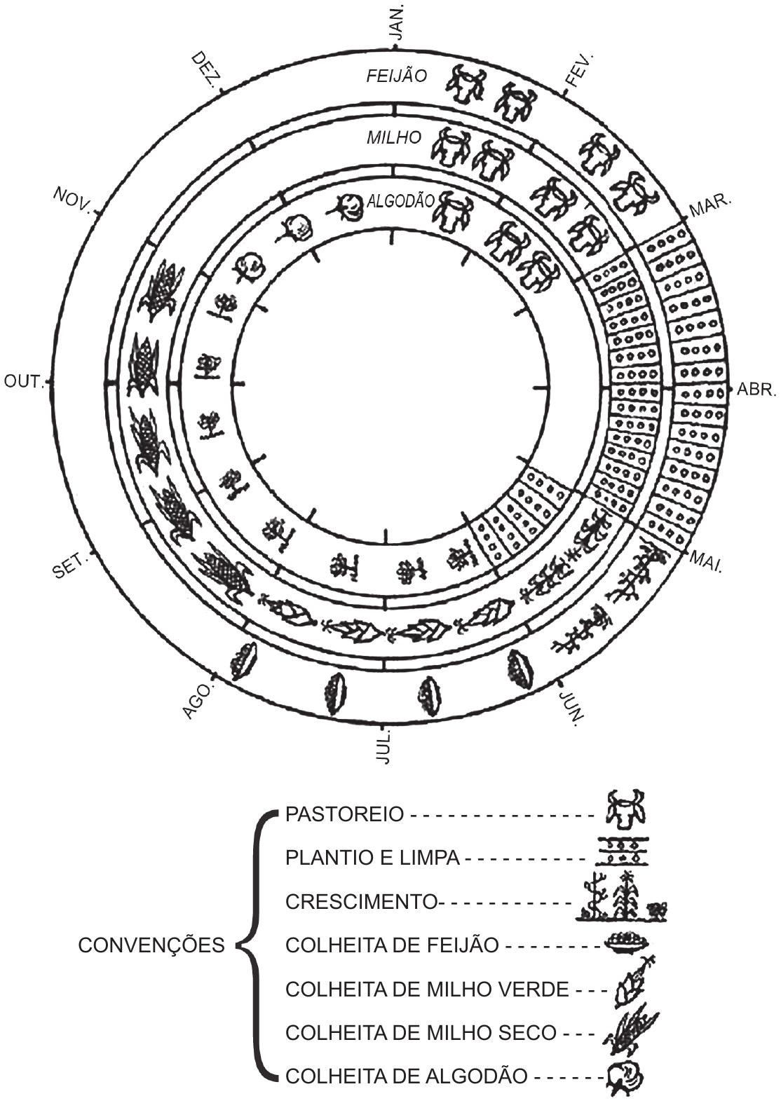 Diagrama circular de calendário agrícola: três anéis concêntricos em torno de um círculo central vazio, divididos pelos doze meses, de JAN. a DEZ., marcados na borda no sentido horário. Cada anel corresponde a uma cultura — FEIJÃO no anel externo, MILHO no intermediário e ALGODÃO no interno — e é preenchido, mês a mês, por pequenos símbolos desenhados que indicam a etapa em curso. Abaixo do círculo, uma chave reúne as convenções.

FEIJÃO: pastoreio em janeiro e fevereiro; plantio e limpa em março e abril; crescimento em maio; colheita de feijão em junho e julho; de agosto a dezembro o anel fica sem símbolo.
MILHO: pastoreio em janeiro e fevereiro; plantio e limpa em março e abril; crescimento em maio; colheita de milho verde em junho e julho; colheita de milho seco em agosto, setembro e outubro; novembro e dezembro sem símbolo.
ALGODÃO: pastoreio em janeiro e fevereiro; março e abril sem símbolo; plantio e limpa em maio; crescimento de junho a outubro; colheita de algodão em novembro e dezembro.

Convenções: pastoreio; plantio e limpa; crescimento; colheita de feijão; colheita de milho verde; colheita de milho seco; colheita de algodão.