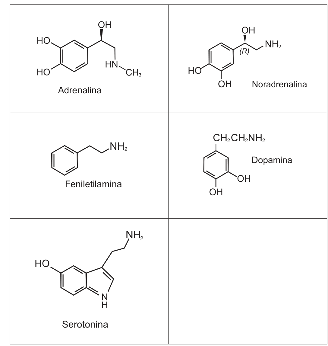 Quadro com as fórmulas estruturais de cinco neurotransmissores. Adrenalina: anel benzênico com dois grupos HO, ligado a uma cadeia com OH e terminada em HN–CH₃. Noradrenalina: anel benzênico com dois OH, ligado a uma cadeia com OH e NH₂. Feniletilamina: anel benzênico ligado a uma cadeia de dois carbonos terminada em NH₂. Dopamina: anel benzênico com dois OH e cadeia CH₂CH₂NH₂. Serotonina: anel indólico (benzeno fundido a anel com N–H) com um grupo HO e uma cadeia de dois carbonos terminada em NH₂.