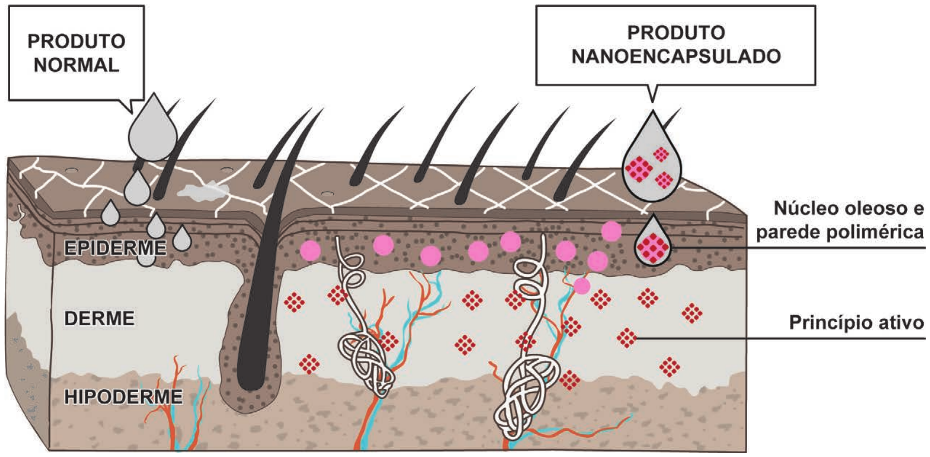 Esquema de um corte da pele com as camadas Epiderme, Derme e Hipoderme, com pelos, vasos sanguíneos e glândulas. À esquerda, o rótulo “Produto normal”: gotas cinza que ficam na superfície e na epiderme. À direita, o rótulo “Produto nanoencapsulado”: uma gota contendo losangos vermelhos; uma gota menor na epiderme é apontada como “Núcleo oleoso e parede polimérica”; losangos vermelhos espalhados pela derme são apontados como “Princípio ativo”; círculos rosa aparecem na epiderme.
