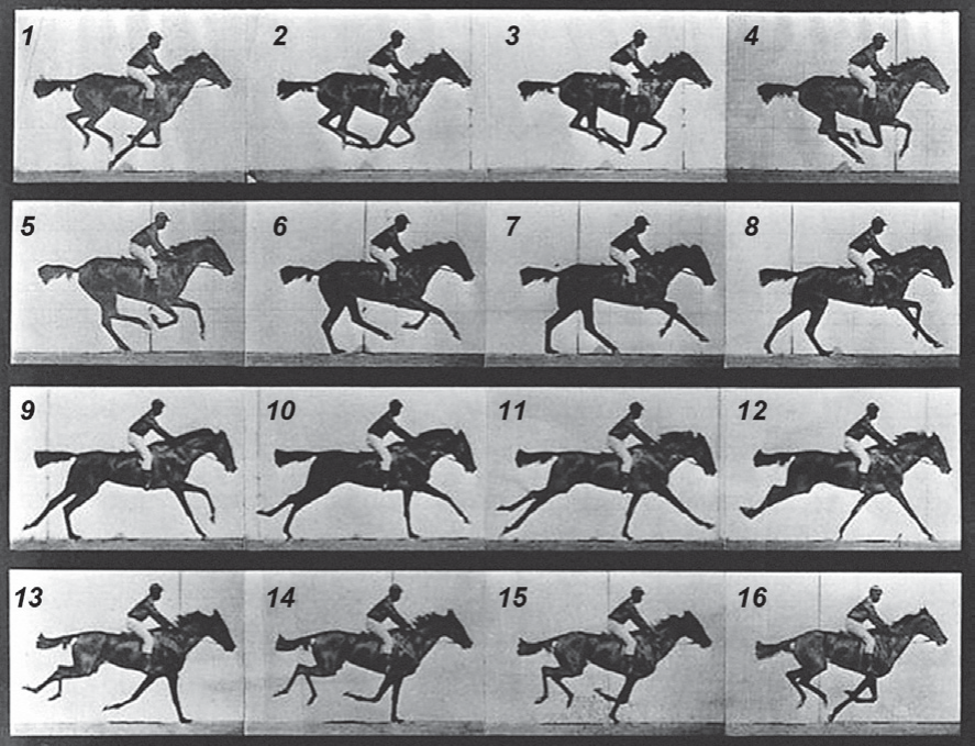 Sequência de 16 fotografias numeradas de 1 a 16, em quatro fileiras, de um cavalo com jóquei galopando, cada quadro congelando uma posição diferente das patas (cronofotografia de Muybridge).