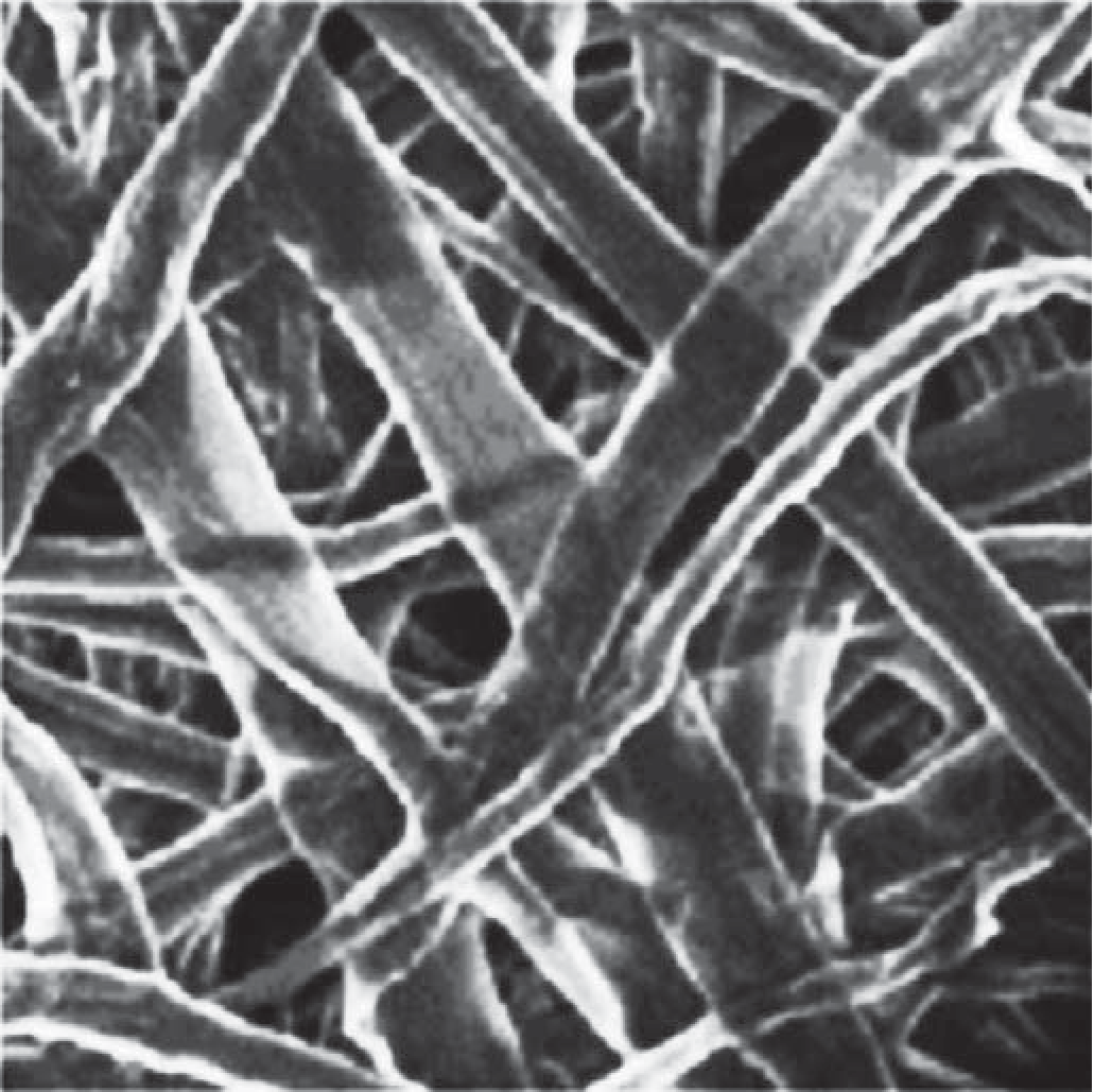 Imagem de microscópio eletrônico de varredura da superfície de uma folha de papel: microfibras alongadas de celulose entrelaçadas em várias direções, deixando espaços vazios entre elas.