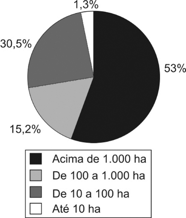 Gráfico de setores com quatro fatias, indicando a participação de cada classe de tamanho de imóvel rural na área total: acima de 1.000 ha, 53%; de 100 a 1.000 ha, 30,5%; de 10 a 100 ha, 15,2%; até 10 ha, 1,3%. Legenda com os quatro intervalos.
