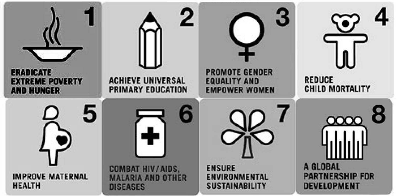 Painel com oito ícones numerados das Metas do Milênio, com legendas em inglês: 1, tigela fumegante, "ERADICATE EXTREME POVERTY AND HUNGER"; 2, lápis, "ACHIEVE UNIVERSAL PRIMARY EDUCATION"; 3, símbolo feminino, "PROMOTE GENDER EQUALITY AND EMPOWER WOMEN"; 4, ursinho, "REDUCE CHILD MORTALITY"; 5, silhueta de gestante com coração, "IMPROVE MATERNAL HEALTH"; 6, frasco de remédio com cruz, "COMBAT HIV/AIDS, MALARIA AND OTHER DISEASES"; 7, árvore, "ENSURE ENVIRONMENTAL SUSTAINABILITY"; 8, grupo de pessoas, "A GLOBAL PARTNERSHIP FOR DEVELOPMENT".