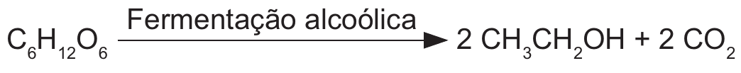 Equação química da fermentação alcoólica: C6H12O6, sobre a seta com os dizeres “Fermentação alcoólica”, produz 2 CH3CH2OH + 2 CO2.