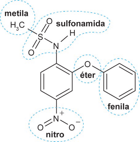 Estrutura química da nimesulida com os grupos metila, sulfonamida, éter, fenila e nitro identificados.