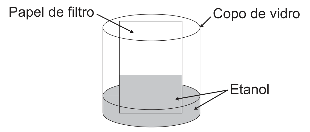 Desenho de um copo de vidro cilíndrico e transparente, indicado pelo rótulo “Copo de vidro”, com uma camada de líquido cinza no fundo. Dentro do copo está, em pé, uma folha retangular, indicada pelo rótulo “Papel de filtro”, com a base mergulhada no líquido. A parte inferior da folha aparece em cinza até uma altura bem acima do nível do líquido no copo. Duas setas partem do rótulo “Etanol”: uma aponta para o líquido no fundo do copo e a outra, para a região cinza da folha.